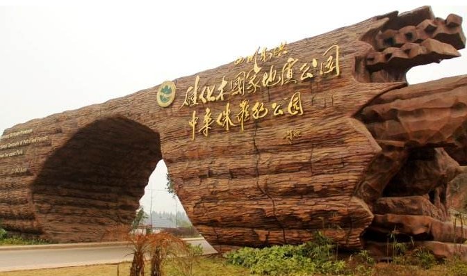 旅游攻略：绍兴新昌硅化木国家地质公园